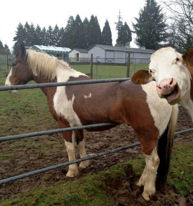 scribbleandink's tweet photo. You've got to keep an eye on your stock levels: best check 'em or things go haywire...
...speaking of which...
(Any excuse for this picture).
#StockLevel #StockUp #CheckIt https://t.co/gIV19giFBT