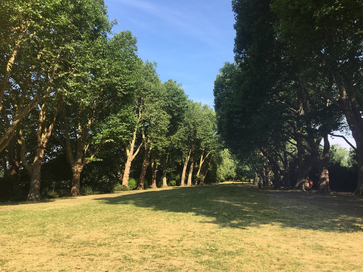 Why spend your Friday morning in the office when you could be out in the great outdoors volunteering somewhere like this with your team? #employeevolunteering #csr #bishopspark