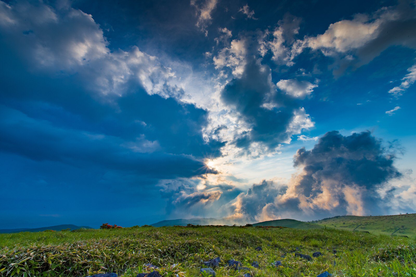 ヘレンケラー Twitter Search Twitter