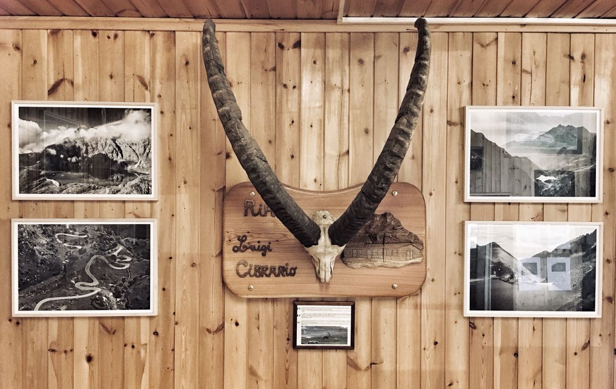 MuseoTazzetti's tweet photo. In anteprima speciale, ecco alcune #immagini dell'#allestimento della mostra #ArteInQuota ai Rifugi alpini #Tazzetti e #Cibrario a cura del #MuseoCivicoAlpinoArnaldoTazzetti di #Usseglio. Presto online #comunicatoStampa e locandina. Seguiteci! #ValliDiLanzo https://t.co/yKYaukzQR3