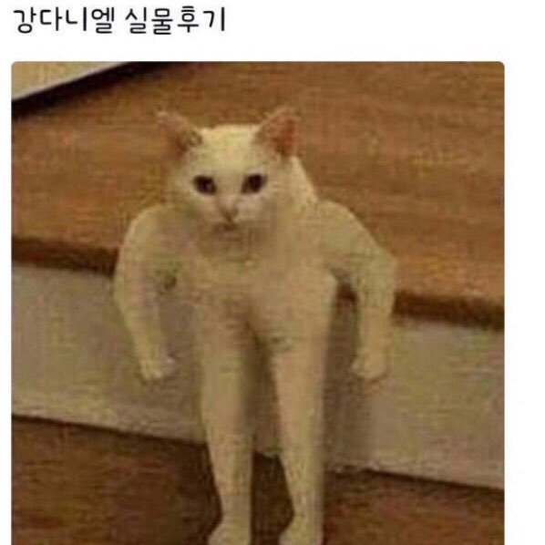 realdefnik's tweet photo. ㅋㅋㅋㅋ 공카요정 강다니엘 ㅋㅋㅋ ㅂ진짜 ㅋㅋ https://t.co/96nPNZwswg