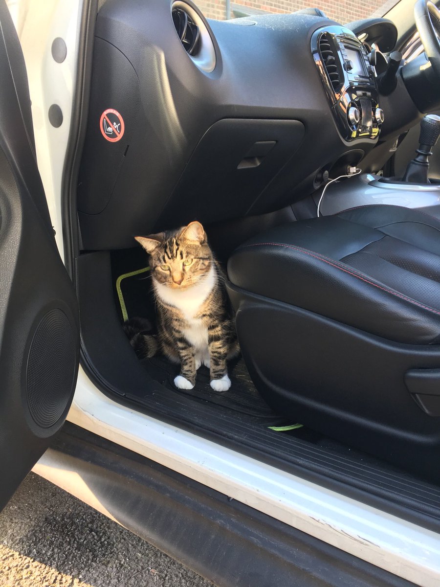 007Duds's tweet photo. @DavidTLowbridge Can totally relate! Sometimes, mine tries to come to school with me. https://t.co/sWPlVgVAJm