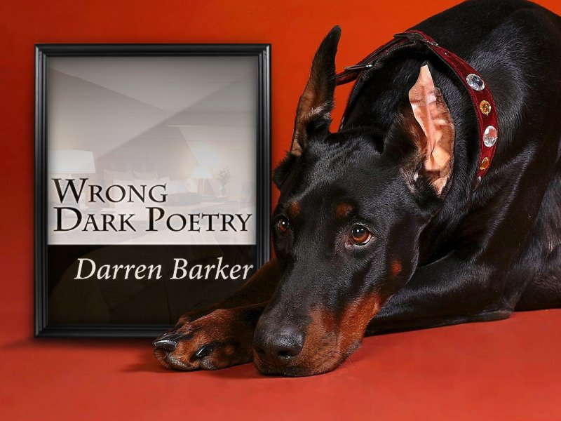If you've read any of Darren Barker's novels you'll have an idea of what to expect from this collection, violent and dangerous world, a world inhabited by the sick, the evil, the mean, the mad and the wicked, a world where anything can happen bookShow.me/B01MT1JCEL