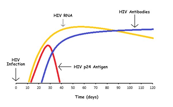 Антитела к hiv1 p24 что это. Антитела к hiv1 p24 что это. Антитела к hiv1 p24 что это. Результаты анализа антител к вич и антиген. Тест на вич 4 поколения.