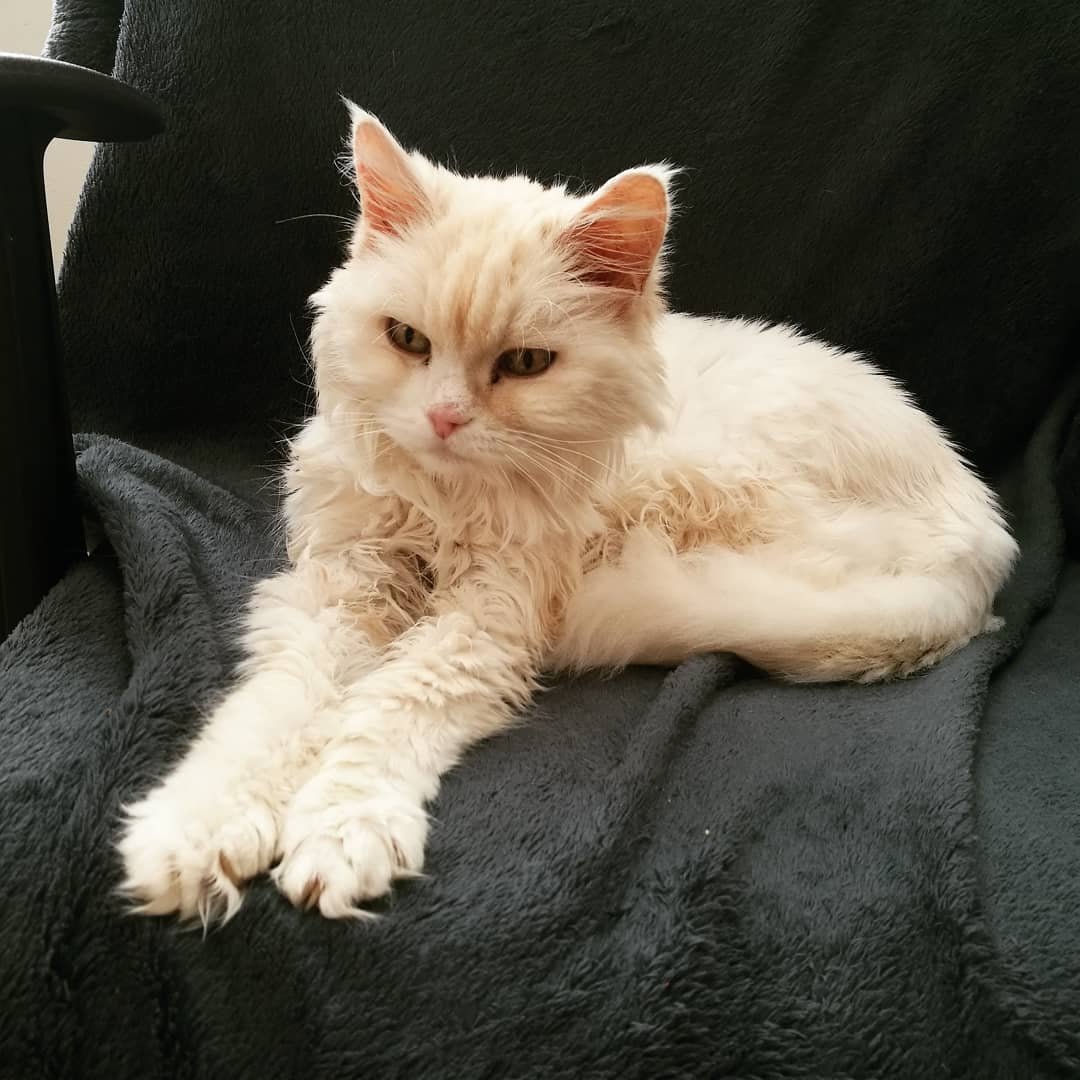 erix ➡️ @oddhours.bsky.social tweet media