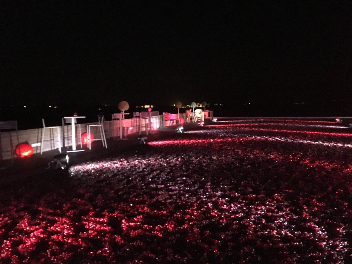 Du 6 juillet au 26 août @VignoblesFayat accueille une exposition d’#artcontemporain ! Visitez la propriété et profitez d’une expérience magique d’un rouge éclatant ! #BOWT2018 #bestofwinetourism