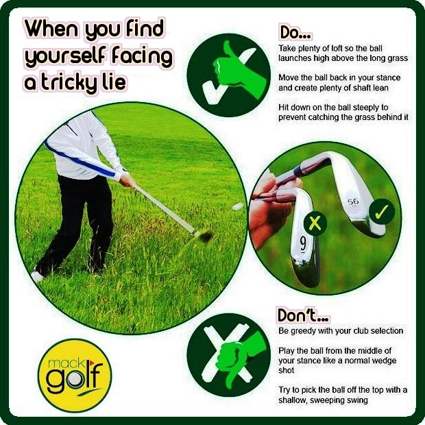 Moors Valley Golf (@yourgolfteam) on Twitter photo 