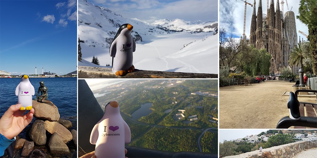 CybercomFinland's tweet photo. Perfect stress toys. Fun to look at. Amazing travel buddies. ❤️ Cybercom Penguins. Follow #pingviinimaailmalla -hashtag to see the adventures these little creatures are a part of. 
#MakersofTomorrow #Cybercompeople #aroundtheworld https://t.co/BxxRN0pZnP