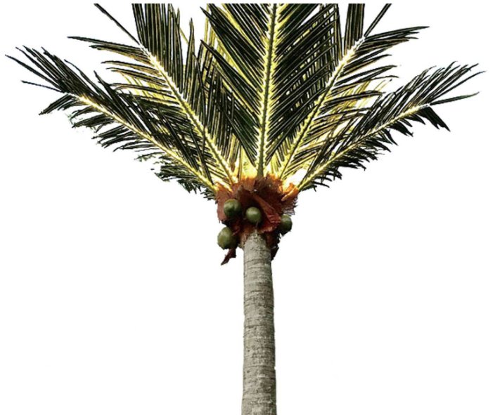 Supazaar's tweet image. Loving this long hot Summer! And our favourite party guest has to be the unique LED 12ft Sunset Palm: an all day, all night player! ow.ly/4dNf30kPmBX