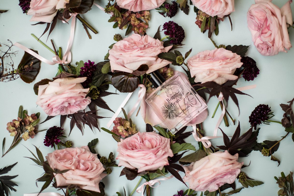 HayfordRhodes's tweet photo. #Dreamy: Hayford & Rhodes' floral concept for 'Rose Silence' by @Miller_Harris...
#MillerHarrisInBloom #HayfordandRhodes
https://t.co/WqA8UFZU15 https://t.co/yGCiVRCVNS