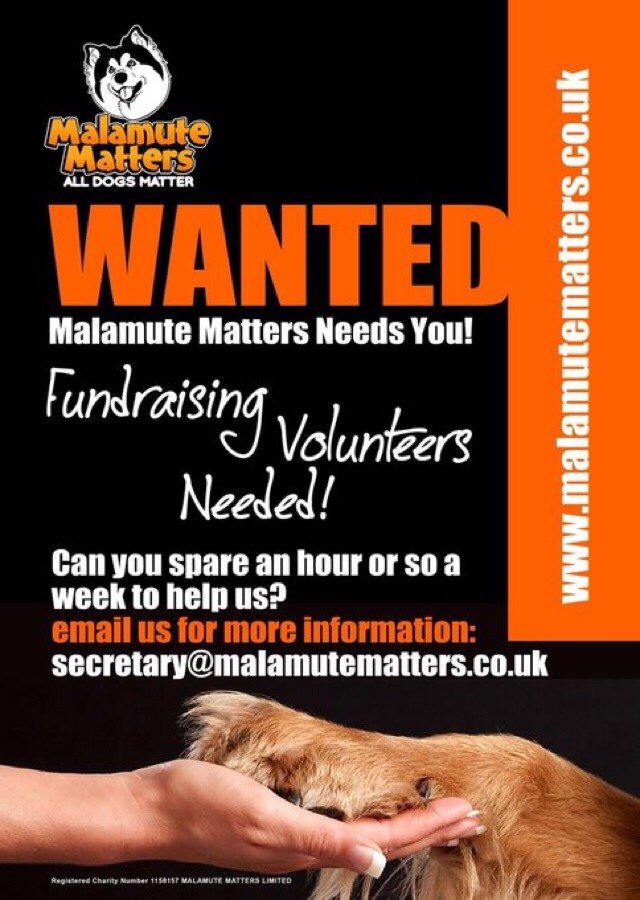 We need volunteers, can you help us help dogs in need? malamutematters.wordpress.com/2018/07/06/we-…
