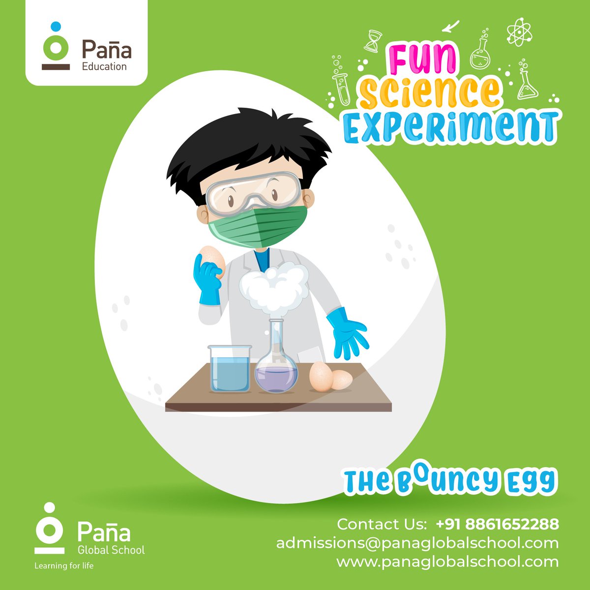 pana_school's tweet image. Looking for an easy science project using a few household items? This simple experiment will turn a regular egg into a bouncy ball. Here&apos;s how to do it: 
panaglobalschool.com/2018/06/25/sim…
#diyscienceexperiments #scienceexperiments #kidsdiy