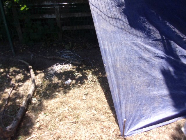 hatsarah's tweet image. During Forest School @GarswoodPrimary Y2 were challenged to create a shelter as shade from the sun. Some children needed tent pegs so decided to make their own #knifework #problemsolving