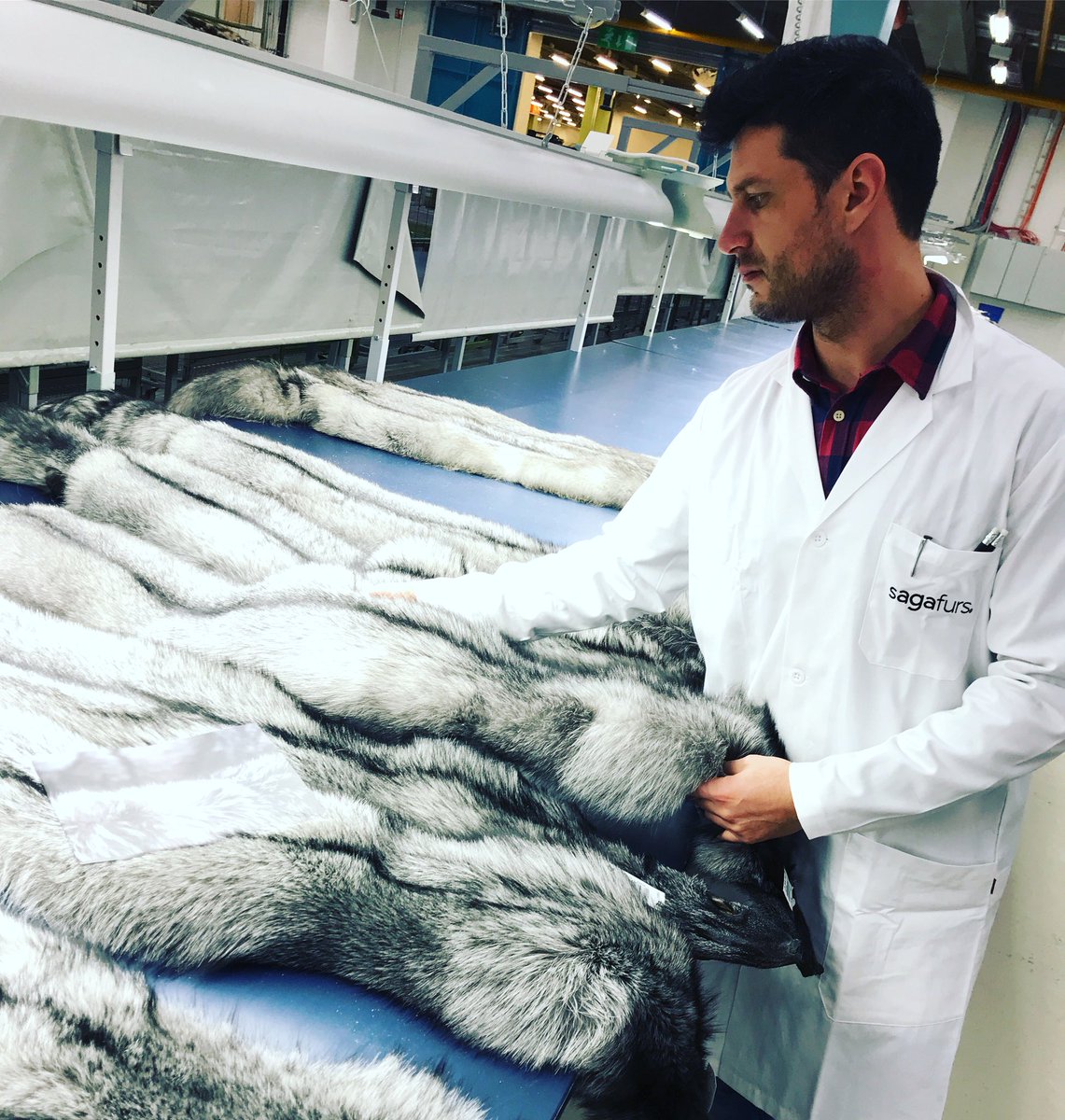 OvidioGarbin's tweet photo. Sorting some foxes, always check the best skins for our clients! At @sagafurs 
#ovidiogarbin #sagafurs #foxes #love #furcoats #fur #furaccessories #lovemyjob #fluffy https://t.co/EfE3X8invu