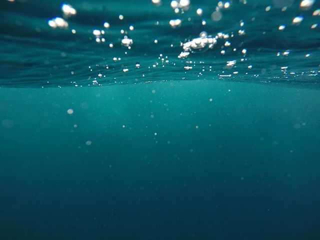 Floatworks's tweet photo. "The sensory deprivation chamber has been the most important tool that I've ever used for developing my mind, for thinking, for evolving." - @joerogan .
.
.
#joerogan #quote #gratitude #floatationtherapy #floating #floatworks #isopod #rest #relax #rechar… https://t.co/1S1OPGwrwb https://t.co/k9ZtmlOBl2