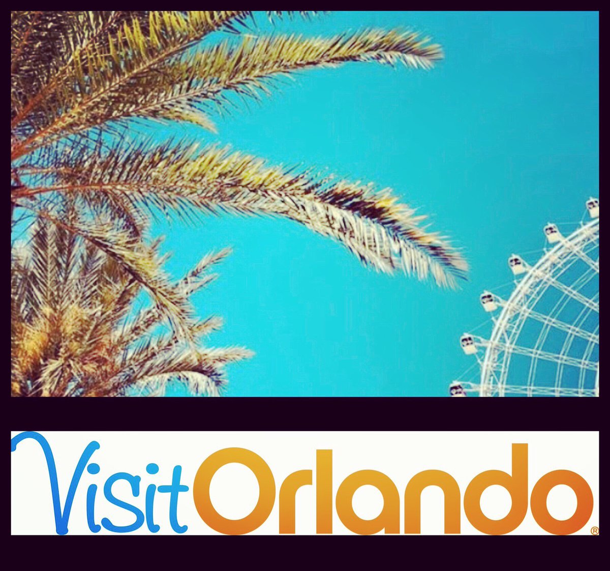 UDONorthAmerica's tweet photo. Spoiling you today! Yet another EXCLUSIVE, this time from @VisitOrlando ! Discounts on dining, attractions and travel, as well as awesome helpful guide! Go check it out https://t.co/DSQpeXzjIg... #hiphopchampionships #qualifyforworlds #repyourcity https://t.co/ng3ZcZo6g0