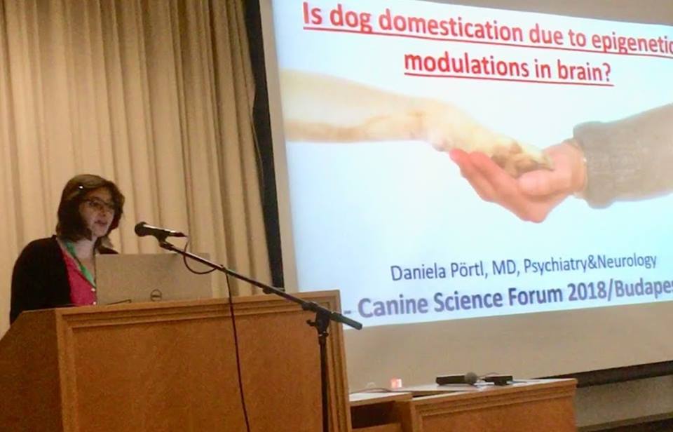 Daniela Pörtl from Saale-Unstrut Klinikum, Leipzig Hospital and Jena Universities, Germany, researchgate.net/profile/Daniel… explained that the possible cause of the dog domestication was due to epigenetic modulations and plasticity in brain. #csf2018