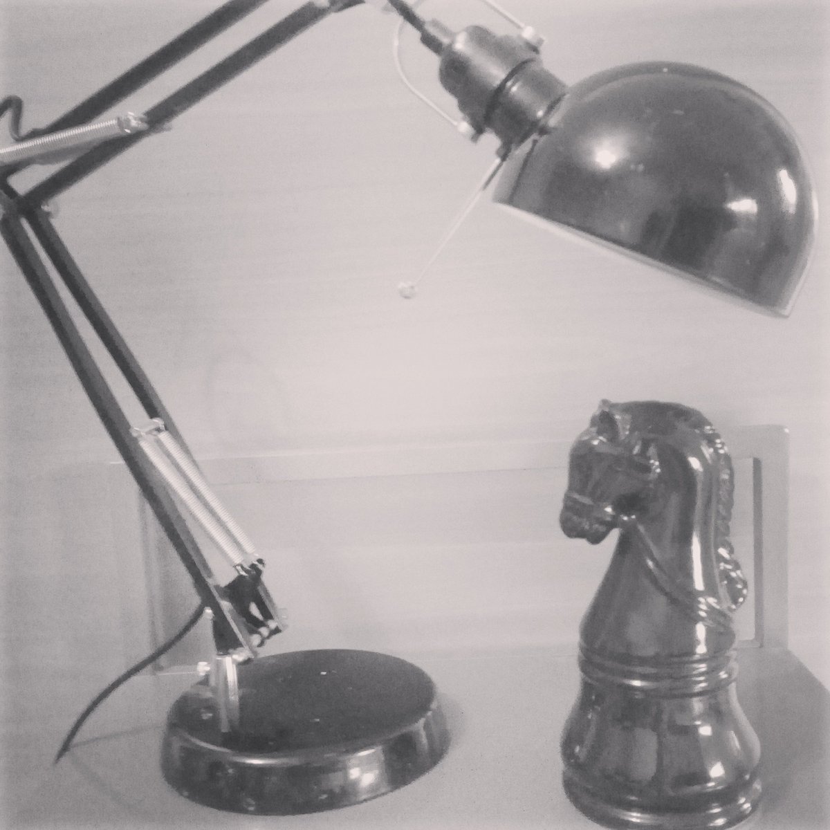 TamastDcoratio1's tweet photo. Projecteur sur canasson.
C'est mon dada!
#cheval #luminaire #decoration https://t.co/U3UgGTHtvZ