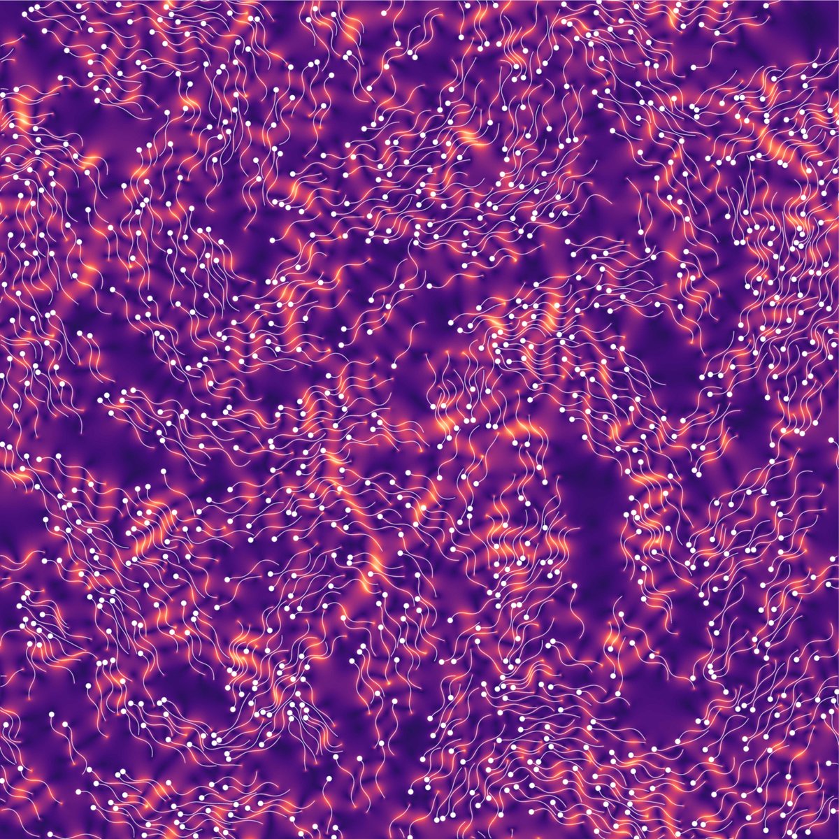 FluidsCDT's tweet photo. Simon Schoeller @simon_phi_sigma studies collective behaviour of active swimmers. It seems that microswimmers are quite trendy nowadays, our plenary speaker Martin Bees from @UniOfYork will also discuss about them! #ICFluidsSymp https://t.co/CWLeCTrY0k