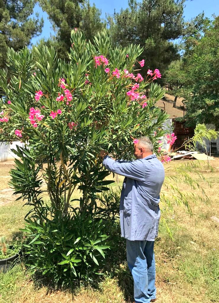 SinopKYGM's tweet photo. Boyabat yurdu, yeni dönemde gençlere daha iyi hizmet verebilmek için baştan sonra elden geçiyor.🔨
#BenimYurdumKYK https://t.co/WDNeEeL7Ww