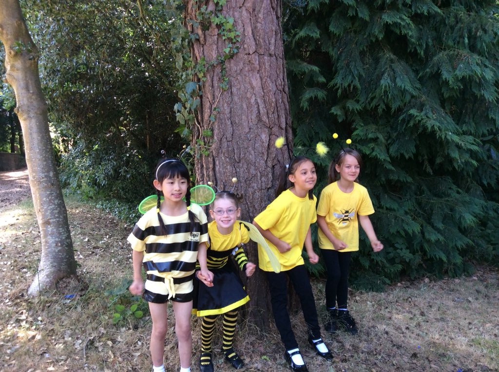 THSch_Music's tweet photo. You were brilliant as bumble bees Year 2D. Lovely singing. Well done. #thpreprep https://t.co/WwcwxKJFrn