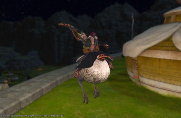 Ff14 ドードーマウントの各種族の乗り方 基本的に大股 ララフェルは許せる