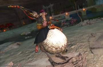 Ff14 ドードーマウントの各種族の乗り方 基本的に大股 ララフェルは許せる