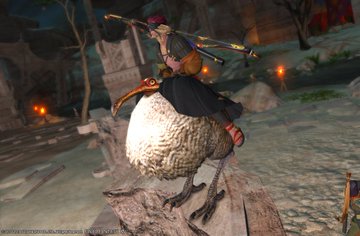 Ff14 ドードーマウントの各種族の乗り方 基本的に大股 ララフェルは許せる