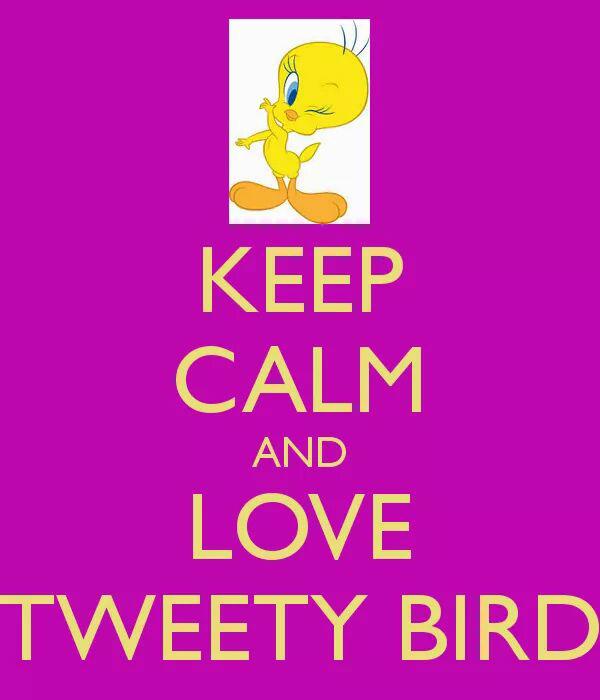 AngelParris3's tweet image. 