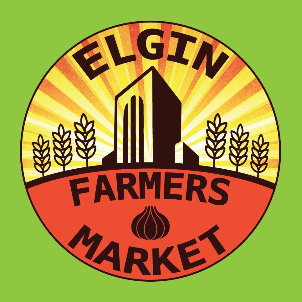 EYSO's tweet photo. Today, 3p - 7p! EYSO will be a part of today’s market! Stop by and say hello and enter to win free tickets to our November concert!
—-
Are you a current member or EYSO alum? Feel free to drop by and play for a bit! Questions? Call 847-558-2246 @downtownelgin #exploreelgin https://t.co/CAzj5P0CCi