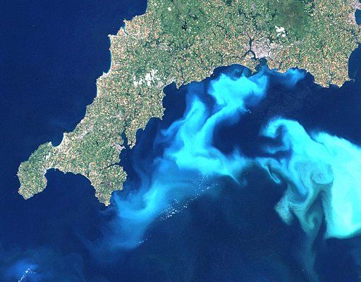 McNameeJason's tweet photo. Timing is everything!

https://t.co/opJq0ZBfi7

"@NSF, NASA scientists explore ocean's 'twilight zone' to uncover links between #carbon and #plankton"

Image of a coccolithophore bloom off the SW Coast of England by @NASA

#PlanktonFriday https://t.co/yNBZNRSxmX