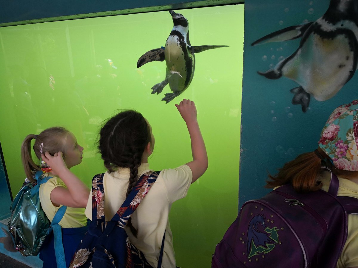 portmeadp's tweet photo. What a brilliant trip! Folly Farm didn't disappoint! The weather was great and so was the fun! #pmdpy3 #pmdptrip https://t.co/g586UORQPn