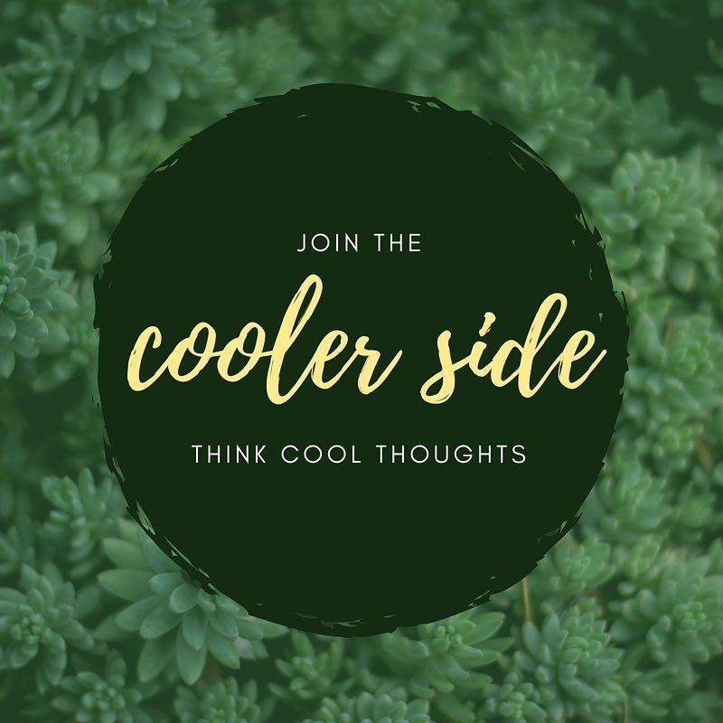 centred_ja's tweet photo. What happens when feelings keep coming up, or stay with us for a long time? Remember, it's our THOUGHTS that give feelings power. Thoughts can either cool us down or heat us up, so we hope you THINK COOL THOUGHTS. Find something that helps you #KeepYourCool #GetCentred https://t.co/H2K73e8YmF
