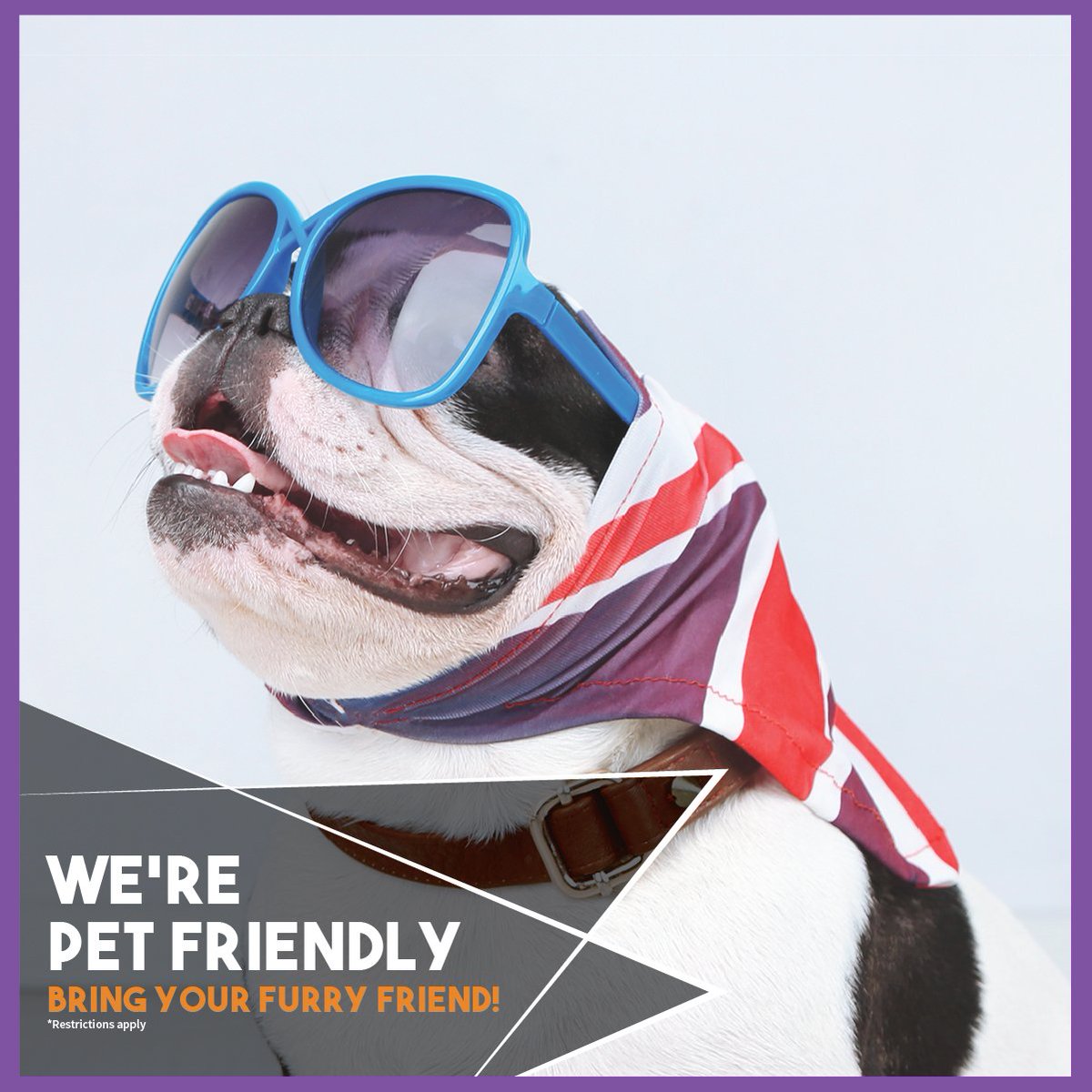 Come in today and sign a lease for you and your pet!