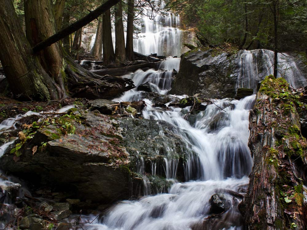 St. Matt's This Week - July 6 <a href="/laurenahodgson/">Lauren Hodgson</a> - mailchi.mp/9fb773fc422d/s…