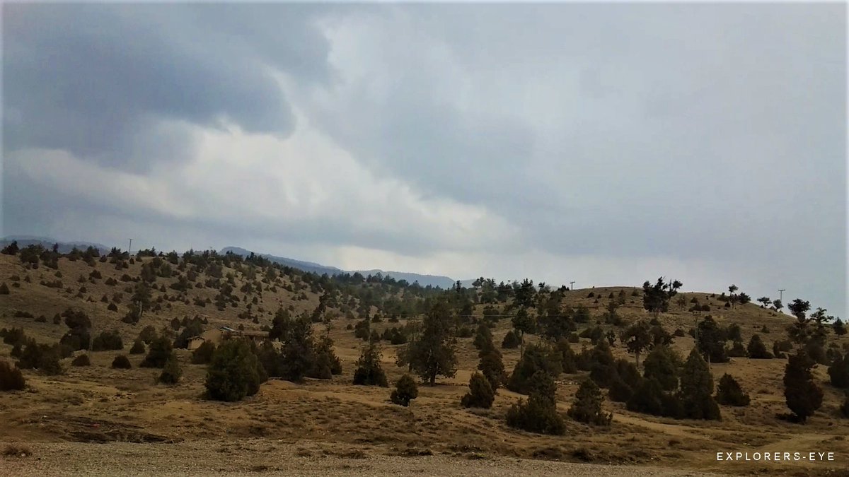 mansoormansay's tweet photo. Rainy Day - At Ziarat Valley, #Balochistan 

#ExplorerEye #Ziarat #RainyDay https://t.co/Cno8Un9LUq
