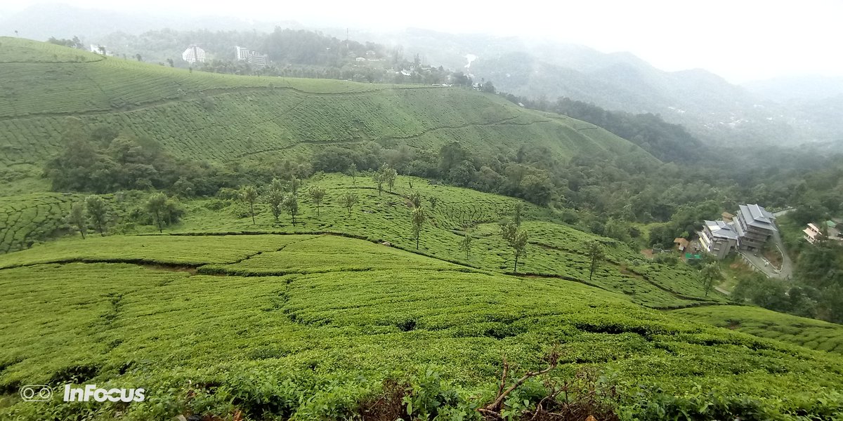 _int3rc3pt0r_'s tweet image. #KeralaMemories #ShotOnInFocus #Vision3Pro #CaptureItAll