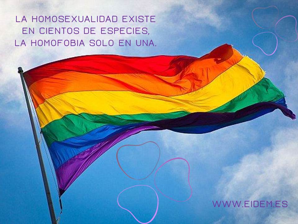 igalilea1's tweet photo. Desde eidem trabajamos por el respeto y la tolerancia hacia la diversidad sexual. #psicología #homofobia #eidem https://t.co/QHuDG7sPkz