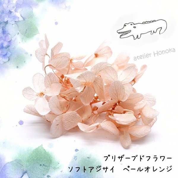 公式 あとりえほのか 楽天店セール開催中 Sur Twitter 新着商品 プリザーブドフラワー アジサイ 約0 6g ペールオレンジ レジンへの封入 アロマワックスバーやハーバリウムの作成などにおススメ レジン ハンドメイド 手芸 Uvレジン プリザーブド