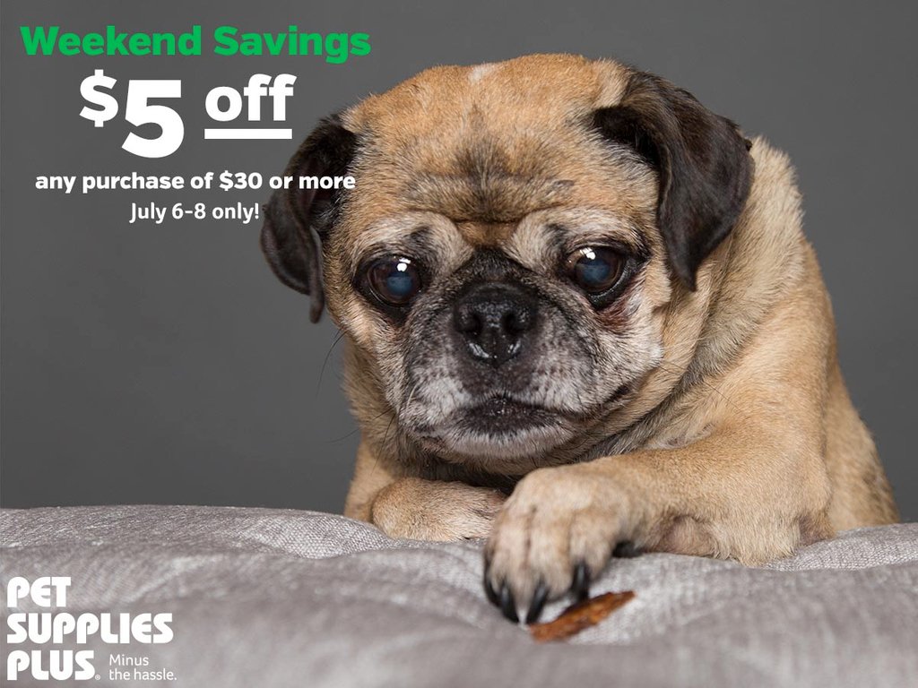 petsuppliesplus's tweet photo. It's the time again--coupon time!
#petsuppliesplus #minusthehassle #weekendcoupon 
https://t.co/BJQKTpuLrS https://t.co/NbEBagNVUe