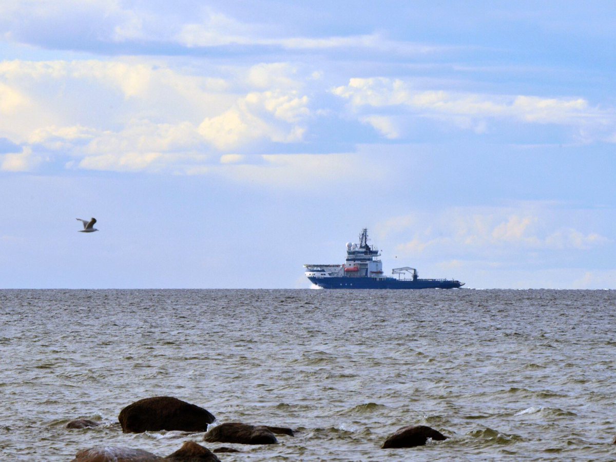 VesselFinder's tweet photo. Port of Tallinn’ subsidiary signs an agreement for chartering mv Botnica during summer periods
https://t.co/qPpgzWikNK #PortofTallinn #OÜTSShipping #BaffinlandIronMines #Botnica #mining #ironore #icebreaker https://t.co/lWHpfTYGVG