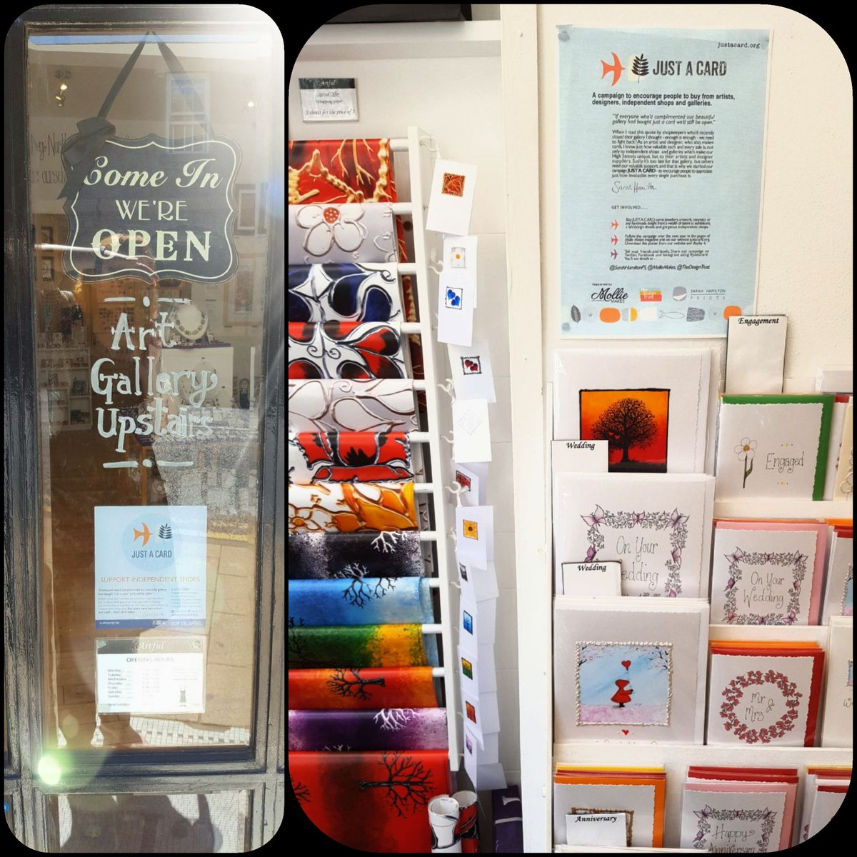 Kelly Morgan tweet media