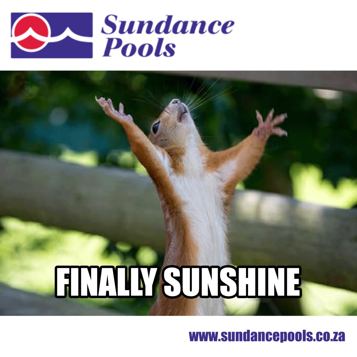 sundancepool's tweet photo. It's Friday! ☀️ https://t.co/O9SYxUG5f5