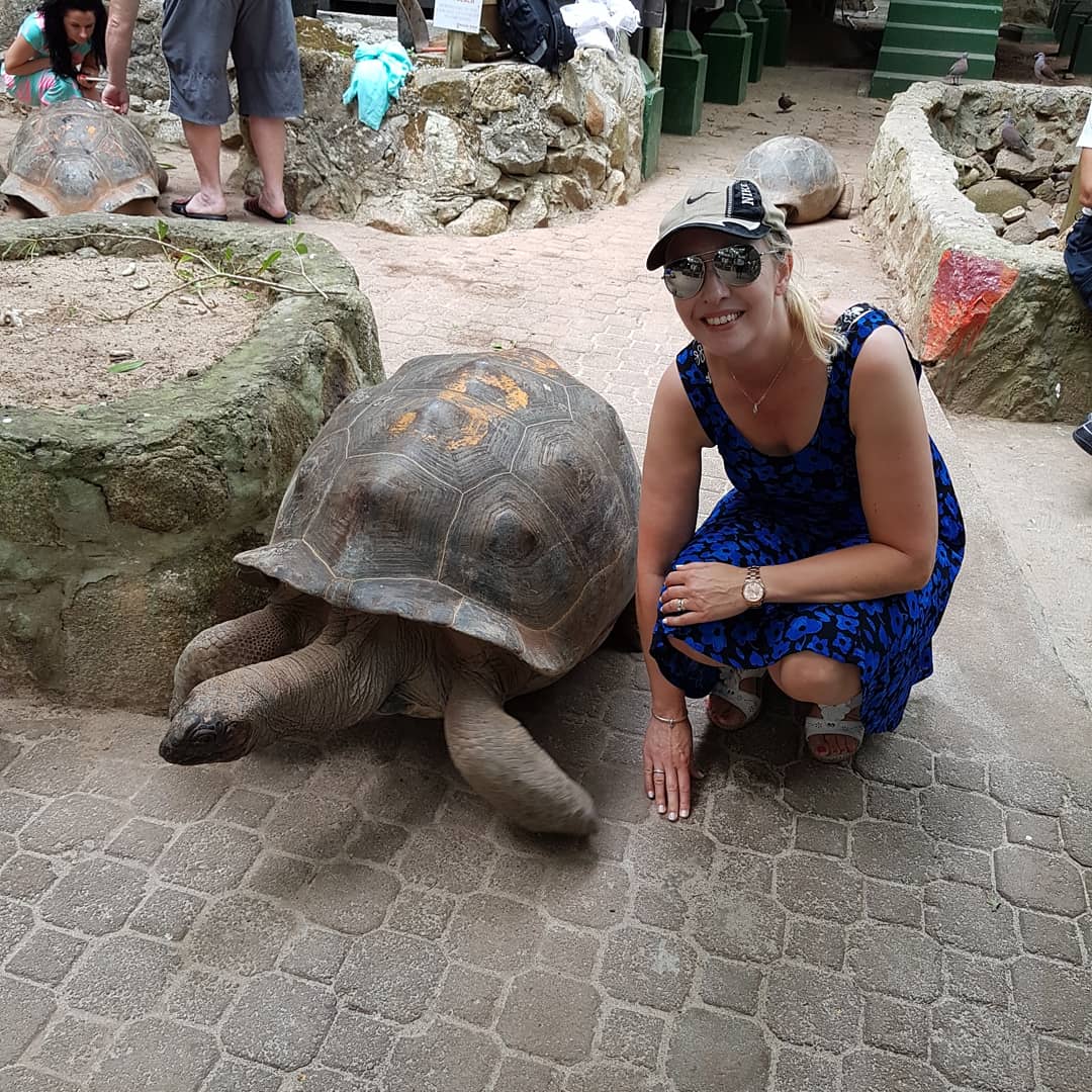 Giant tortoises in the wild 🐢🐢 #tortoise #gianttortoise #gianttortoises #travelblogger #travelphotography #travelling #travelgram #travel #animals #animal #animalphotography #nature #seychelles #moyenneisland #friday #fridayafternoon #fridayfeeling #fridayvibes #holiday