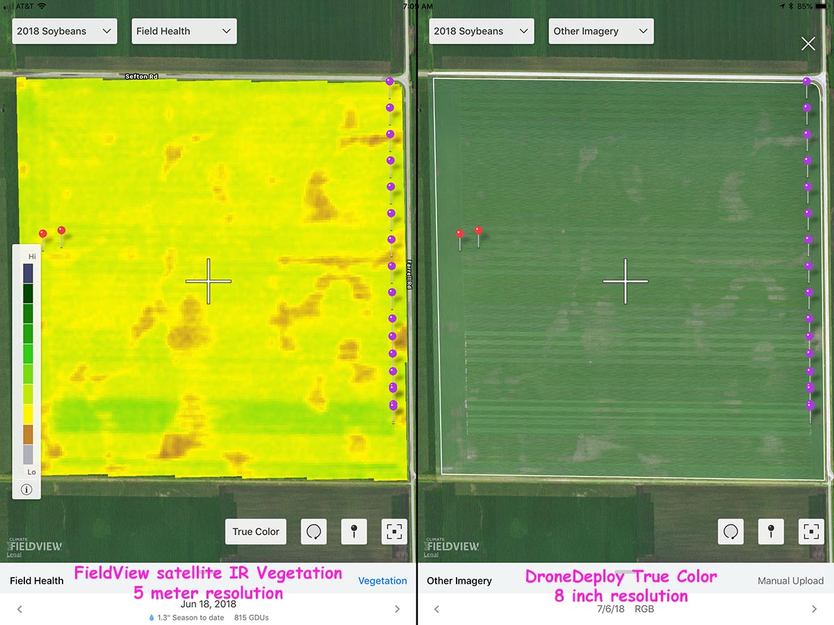seedeye's tweet image. @FieldView satellite imagery showed me seedling disease in my soybean plot, hinted that some varieties were more susceptible.  I flew the field with my @DJI drone and used @DroneDeploy mapping to get more detailed maps, then compared DD maps to FieldView #MapAnything variety map.