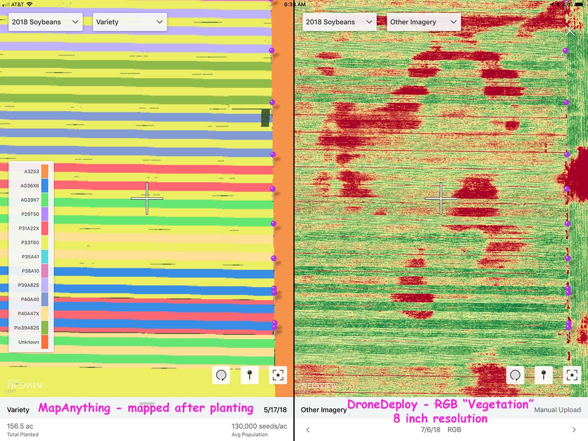seedeye's tweet image. @FieldView satellite imagery showed me seedling disease in my soybean plot, hinted that some varieties were more susceptible.  I flew the field with my @DJI drone and used @DroneDeploy mapping to get more detailed maps, then compared DD maps to FieldView #MapAnything variety map.