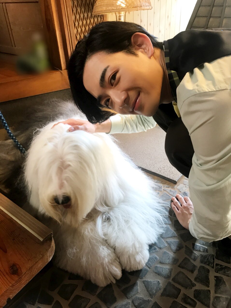 竜星涼スタッフ 公式 みなさん こんばんは 竜星マネです ダイハツ工業 株 さんのミラ トコットのcmは確認いただけましたか 研音日記で花輪クンのレアな1枚を載せたのでこちらでもお見せします 愛犬ビッキーさんとのショットです Tocot