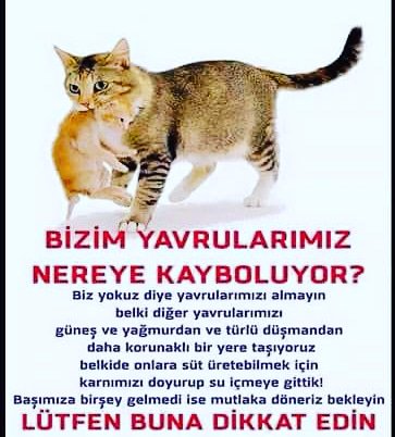 kedijim (@kedijim) on Twitter photo 