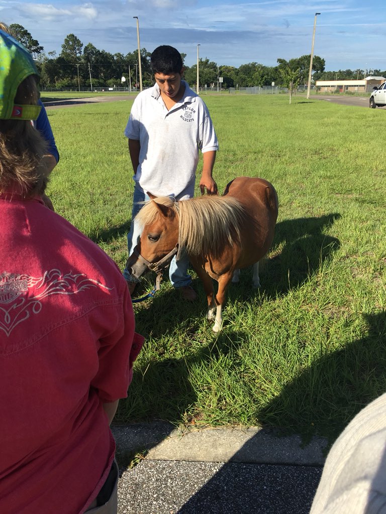 techtalesmonica's tweet image. Exciting things happening at Taylor. Special visitor today!  #VCSSummer #VCSTitleITech
