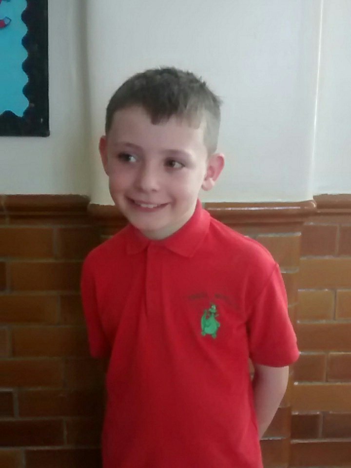 Merllyn School (@merllynschool) on Twitter photo 